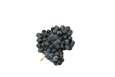 Similar image 21828708