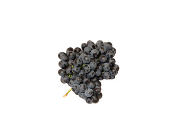 Similar image 21828720