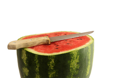 Similar image 21828726