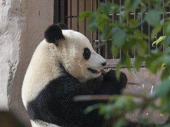 Similar image 21828733