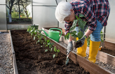 Similar image 21855292