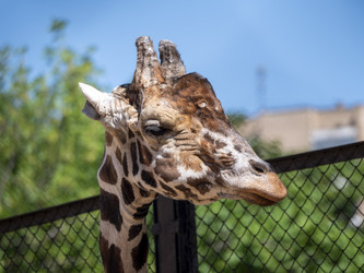 Similar image 21828767