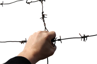 Similar image 21828773