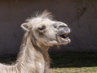 Similar image 21828793