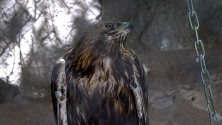 Similar image 21828794