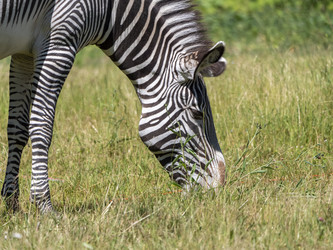 Similar image 21828795