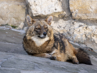 Similar image 21828797