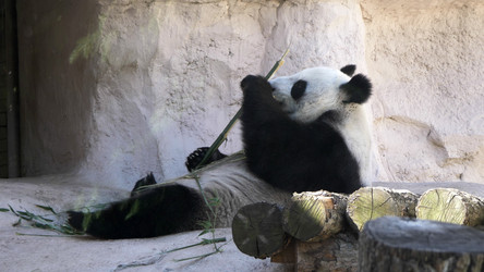 Similar image 21828798