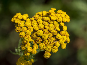 Similar image 21828799