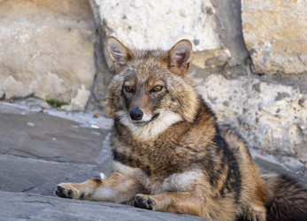 Similar image 21828801