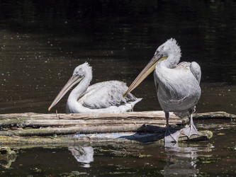 Similar image 21828802