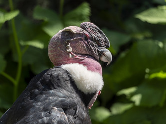 Similar image 21828805