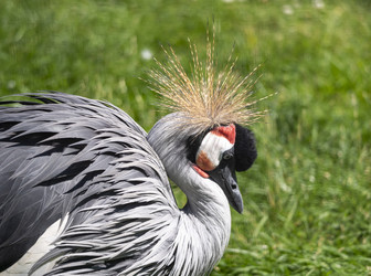 Similar image 21828808