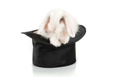 Similar image 21838213