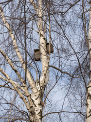 Similar image 21828815