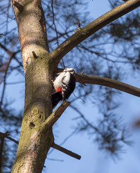 Similar image 21828816