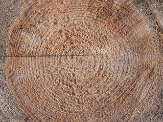 Similar image 21828817