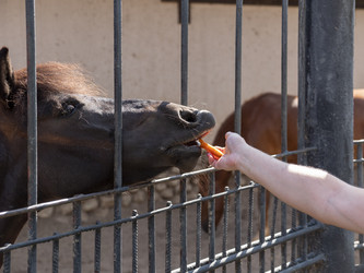 Similar image 21828831