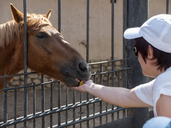 Similar image 21828832