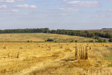 Similar image 21828837