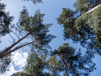 Similar image 21828842