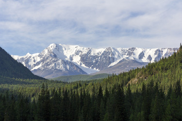 Similar image 21828845