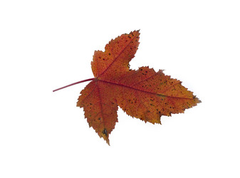 Similar image 21828859