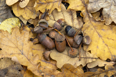 Similar image 21828861