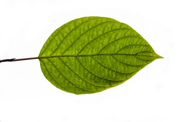 Similar image 21828862