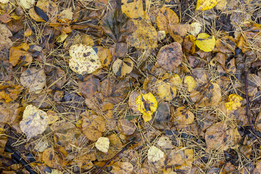 Similar image 21828863