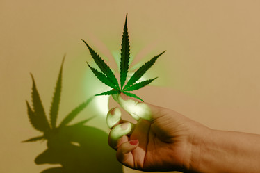 Similar image 21838849