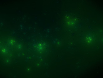 Similar image 21830649