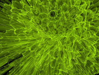 Similar image 21830673