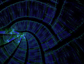 Similar image 21830411