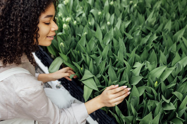 Similar image 21838043