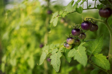 Similar image 21838707