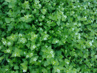 Similar image 21838464