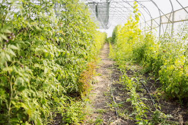 Similar image 21838057