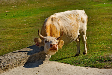 Similar image 21836894