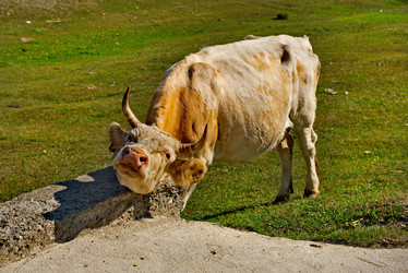 Similar image 21836895