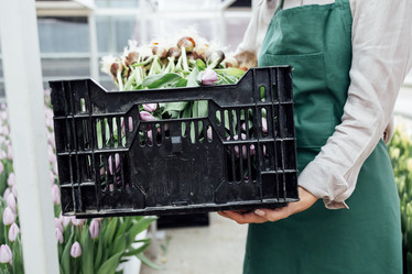 Similar image 21836564