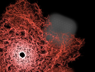 Similar image 21830763