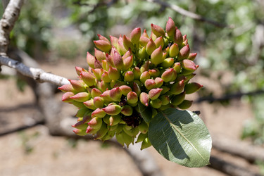 Similar image 21838214