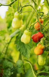 Similar image 21838082