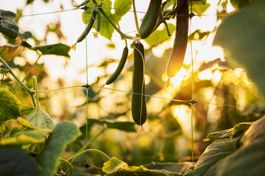 Similar image 21838916