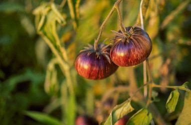 Similar image 21837166