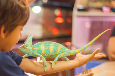 Similar image 21832124