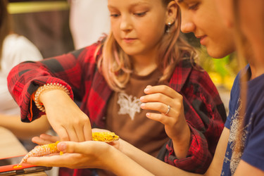 Similar image 21832125