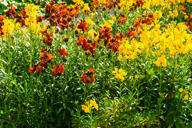 Similar image 21832135