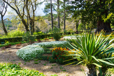 Similar image 21832136